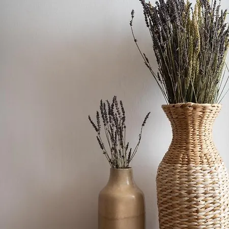 Nomas Lifestyle Living * La Canée