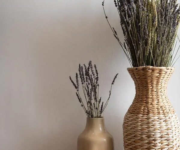 Nomas Lifestyle Living * Chania (Crete)